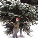 ���� �����, �����, 58 ��� - ��������� 30 ������ 2012 � ������ ���� ����������