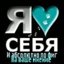���� �����, ������, 34 ���� - ��������� 14 ������� 2012