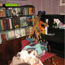 ���� ���, ������������ - ��������� 24 ������ 2012 � ������ ������