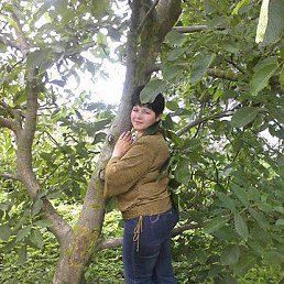 ���� �������, �����������, 53 ���� - ��������� 3 ���� 2013