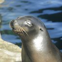 ���� Jouri, ������-��-���� - ��������� 2 ������� 2013 � ������ ���� ����������