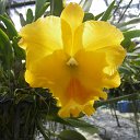 ���� ������, ����������, 55 ��� - ��������� 7 ���� 2011 � ������ �������