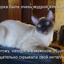 ���� ��������, ������ - ��������� 27 �������� 2010 � ������ ���������!!!�