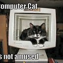 ���� ����������, �����, 24 ���� - ��������� 25 ������ 2011 � ������ ����������� �����