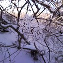 ���� Michael, ������, 57 ��� - ��������� 12 ���� 2010 � ������ ����� � �����������