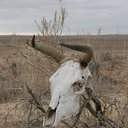 ���� �����, ������ �����, 57 ��� - ��������� 10 ��� 2012 � ������ �������