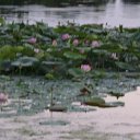 ���� ������, �����������, 52 ���� - ��������� 28 ������ 2012