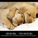 ���� �����, ���������, 77 ��� - ��������� 15 ������� 2012 � ������ �������