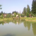  D.s., , 38  -  28  2011    2010, 