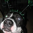 ���� ��������, �����������, 39 ��� - ��������� 6 ������ 2010 � ������ ������ ���