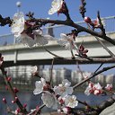 ���� ��������, �����, 33 ���� - ��������� 10 ������� 2010 � ������ �������