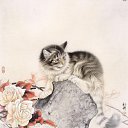 ���� �����, �������, 39 ��� - ��������� 31 ���� 2010 � ������ �������