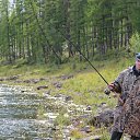 ���� ������, ������, 37 ��� - ��������� 28 ���� 2013