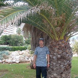 Virginijus, , 62 