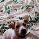 ������� �� ������� ����� ��� ������������