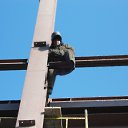  ˸, , 47  -  10  2012    