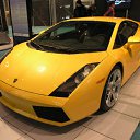 ���� ��������, �����, 32 ���� - ��������� 24 ������� 2011 � ������ ���� ����������