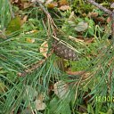  , , 36  -  20  2010    .