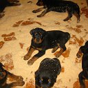 ���� ������, ���������, 24 ���� - ��������� 11 ������� 2012 � ������ ���� ����������