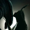  Xenomorph, , 53  -  2  2011   