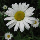 ���� �����, ��������, 45 ��� - ��������� 3 ������� 2010 � ������ ����� �������