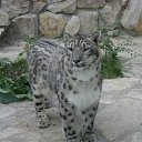 ���� ������, ����������, 48 ��� - ��������� 18 ������ 2012