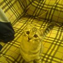 ���� ����� (=^.^=)_____?, �������� - ��������� 24 ��� 2013 � ������ ���� ����������