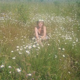 ����� ��������� ������� - ��������� ��������� ����