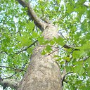 ���� ����, �������� ������ - ��������� 22 ���� 2010 � ������ ������� ����)�