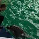 ���� �����, ���������, 60 ��� - ��������� 4 ��� 2011 � ������ �� �...�