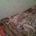 ���� ������, ��������������, 49 ��� - ��������� 20 ����� 2011 � ������ ���� ��������