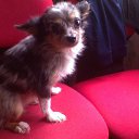 ���� ��������, ������, 63 ���� - ��������� 8 ������ 2012