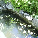 ���� �����, ������, 64 ���� - ��������� 1 ���� 2013 � ������ ���� ����������