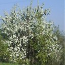  ˸, , 54  -  9  2011   PetLove