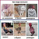 ���� �����, ��������, 40 ��� - ��������� 18 ������ 2013 � ������ �����