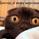 ���� ���������, ����, 46 ��� - ��������� 1 ����� 2013 � ������ ���� ����������