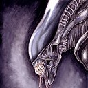  Xenomorph, , 53  -  2  2011   