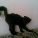 ���� Natalya, ��������, 56 ��� - ��������� 11 ������� 2011 � ������ ����� ����, ���� � &amp;�