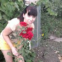 ���� ����, �������, 41 ��� - ��������� 20 ���� 2013 � ������ ���� ����������
