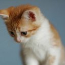 ���� &deg;&bull;*������&deg;&bull;*, ����������, 23 ���� - ��������� 3 �������� 2010 � ������ �������