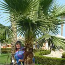 ���� ����, ���, 47 ��� - ��������� 5 ������� 2013 � ������ ���� ����������