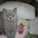 ���� �����, ������, 52 ���� - ��������� 20 ������� 2012 � ������ ���� ����!!�