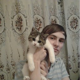 ���� ����, ��������, 34 ���� - ��������� 13 ������ 2011