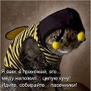 ���� �����, �����-���������, 41 ��� - ��������� 18 ������ 2012 � ������ �������