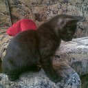 ���� Natalya, ��������, 56 ��� - ��������� 11 ������� 2011 � ������ ����� ����, ���� � &amp;�