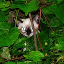 ���� �����, ������, 49 ��� - ��������� 3 ������� 2010 � ������ ���� ����������