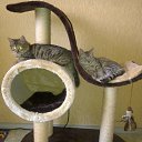 ���� �������, ����, 45 ��� - ��������� 19 �������� 2012 � ������ ���� ������� ����-������)))�