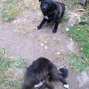 ���� ���������, ��������, 32 ���� - ��������� 3 ���� 2012 � ������ ���� ����������