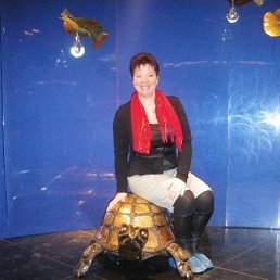 ������, �����-���������, 57 ���