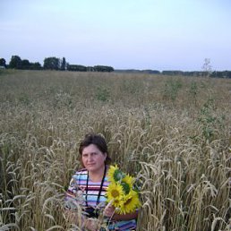 �����, ������, 61 ���